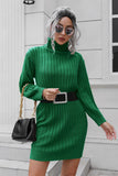 Ribbed Turtle Neck Long Sleeve Mini Sweater Dress