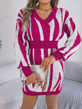 Animal Print V-Neck Long Sleeve Sweater Dress